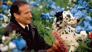 🎭  Робин Уильямс  (Robin Williams TOP 10 Films)