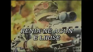 RASIM KIÇINA - RËNIA NË AGUN E LIRISË