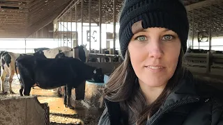 Crazy Weather & Animal Health