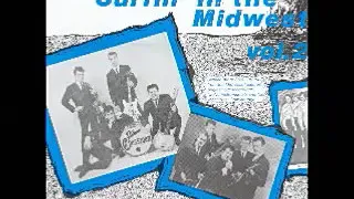 Various - Surfin' In The Midwest Vol 2: 60's Surf, Garage Rock & Roll Instrumental Music USA Bands