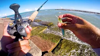 jetty fishing before the hurricane for a fish I've never seen