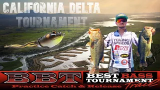 FROG FISHING ON THE CA DELTA - ALL DAY BIG DELTA FROG FISH - TOURNAMENT FISHING