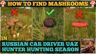 How to Find ? MASHROOMS 🍄 in RUSSIAN CAR DRIVER UAZ HUNTER HUNTING SEASON GAMEPLAY
