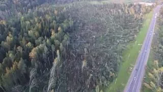 Последствия разрушительного урагана в Рузском районе, вид с высоты