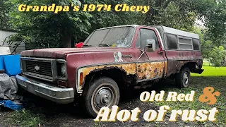 WILL IT RUN?!? Grandpas 1974 chevy c10 OLD RED!