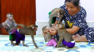 Most Care Sovan & Sovanny Walk Carry Sister Jula To Mom With Such Worry For Mom To Check For Them..,