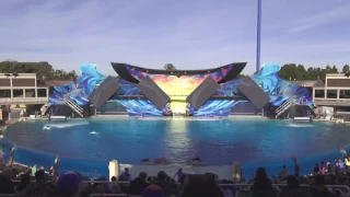 The Complete 2016  One Ocean  Shamu Show at SeaWorld