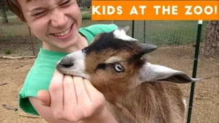 Cutest Kids at the Zoo Compilation 2017 | Funny Pet Videos