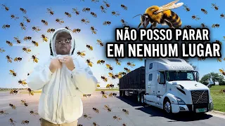 NÃO POSSO SAIR DO CAMINHÃO 😱 AS ABELHAS ESTÃO NERVOSAS