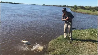 ¡¡INCREÍBLE ESTAS BOGAS!! Pesca de costa en nuevo lugar