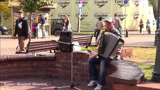 ЗАХОДИ КО МНЕ НА ОГОНЕК! на аккордеоне  Brest! Street! Music!