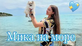 Поездка с собакой🌊🐶/ Путешествие длиной в один день 🤣