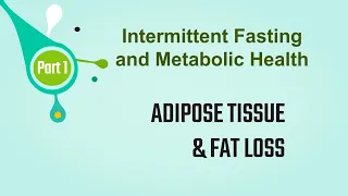 The Science of Intermittent Fasting: Adipose Tissue and Fat Loss (Part 1)