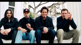 Audioslave - Super Stupid