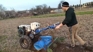 Как я сею клевер и люцерну под мотоблок, простая методика