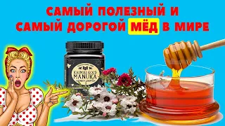 Самый полезный и самый дорогой мёд в мире / Новозеландский мед из Мануки / Манука мёд