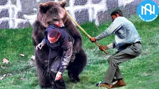 When Animals Go On A Rampage! Interesting Animal Moments CAUGHT ON CAMERA! #36