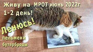 Живу на МРОТ июнь 2022г! 1-2 день! Ленивое начало! Закупки! Пельмени, бутерброды, халва!