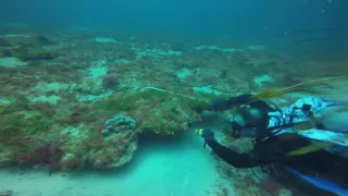 10 mins of perfect lobster dive