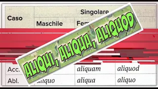 I pronomi e gli aggettivi indefiniti (aliquis, aliquid / aliqui, aliqua, aliquod)