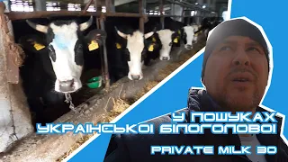 В пошуках білоголової української породи | Private Milk | Травецький