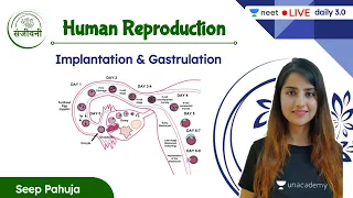 Implantation & Gastrulation | Human Reproduction | L9 | NEET 2022/23 | Seep Pahuja