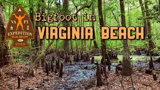 Bigfoot in Virginia Beach - Virginia Paranormal Investigations