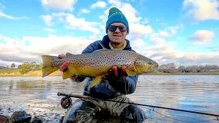 Fly Fishing for Smelting/ Baitfish Feeding Brown Trout | Newlyn Reservoir