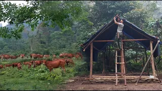 Building a new life Ep.3 - complete the wooden roof, take care of 50 cows farm in the forest