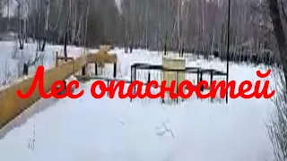 Лес опасностей / Триллер, детектив / 2021 / 16 +