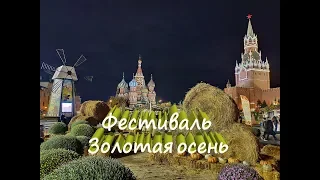 Фестиваль "Золотая осень" Москва / Что посмотреть в Москве