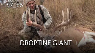 Giant Bucks with Recurves Part 2