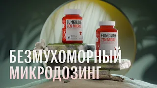 ZEN MICRO. Безмухоморный микродозинг от нашей грибной аптеки FUNGILINE