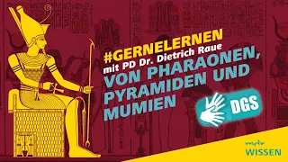 Gebärdefassung: Von Pharaonen, Pyramiden und Mumien | #gernelernen mit MDR Wissen | MDR