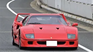 【爆走F40!!】大黒PAに集まったスーパーカーのエンジンサウンド・加速サウンド