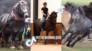 The Cutest HORSES Equestrian TikTok Compilation #167