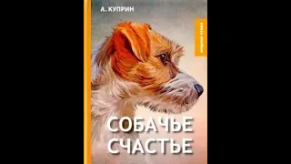 "Собачье счастье"  А.  И.  Куприн