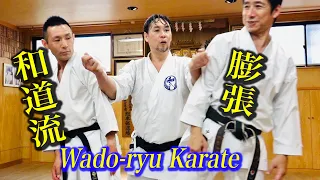 Wadoryu Karate: Expand your core and flick your enemies away! With various subtitles