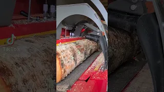 From log to firewood with Hakki Pilke 43 Pro! #firewoodprocessor #firewood #HakkiPilke #woodworking