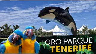 ❤️ LORO PARQUE - Loro Park - Puerto de la Cruz - Tenerife