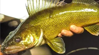 Night Trolling Walleye