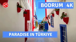 Bodrum City Paradise In Türkiye Beach Tour Walking Tour|4k 60fps