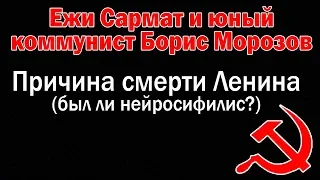 От чего умер Ленин | Ежи Сармат и юный коммунист Борис Морозов