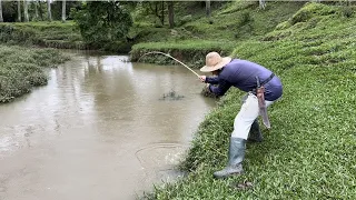 Nunca imaginei que pegaria tilápias grandes e bigodaços com essa agua, pescaria!!!