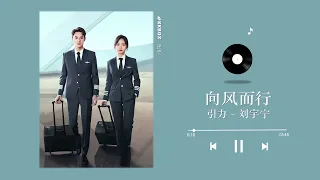 刘宇宁 - 引力 （ 向风而行 片尾曲暨主题曲 OST ）｜Flight To You OST｜Audio｜♾️一小时循环播放 1 Hour Loop