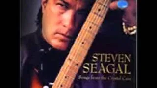 Steven Seagal   Dark Angel