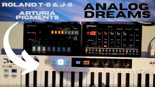 Roland Aira Compact T-8 & J-6  - ANALOG DREAMS