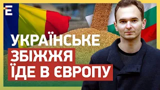 ЗАБОРОНУ СКАСОВАНО! Українське збіжжя ЇДЕ В ЄВРОПУ: хто ДОПУСТИВ?