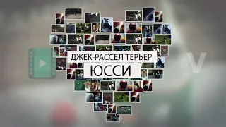 Пример слайд-шоу slide show сердце vz