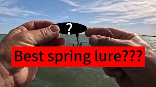 Best lure when finger mullet are present!!!